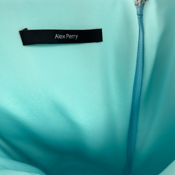 Prescott Gloved Ruched Mesh Midi Dress - Picture 6 of 9